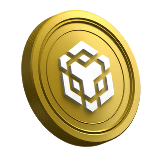 BNB-Münze von Binance auf der Einstiegsseite für Trader-Anfänger